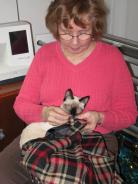 more kittens